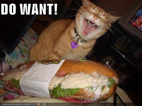 do+want.jpg