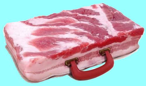bacon_briefcase.jpg