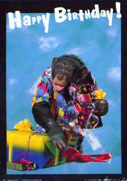 BirthdayMonkey.jpg