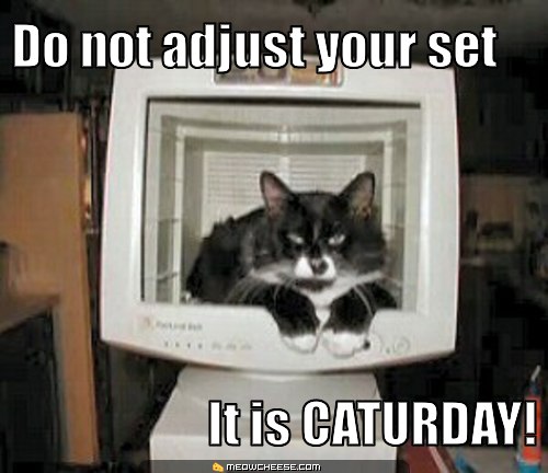 do-not-adjust-your-set-it-is-caturday.jpg