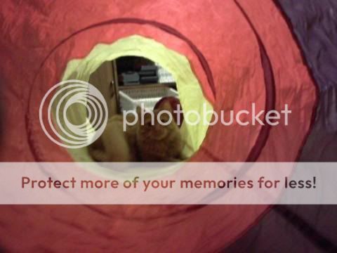 feff26705cd7_10dcd330-58e5-43b3-9129-91e30ae3c8d6.jpg