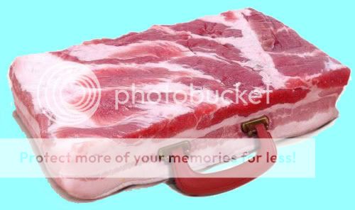 bacon_briefcase.jpg
