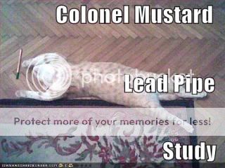 funny-pictures-clue-cat-dead.jpg