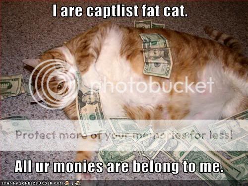 funny-pictures-cat-has-a-lot-of-money.jpg