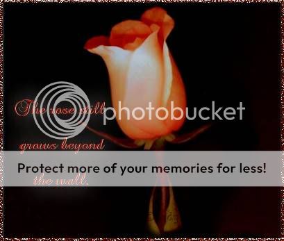 rose2center_sympathy_lozCR.jpg