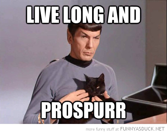 funny-star-trek-spock-cat-live-long-prospurr-pics.jpg