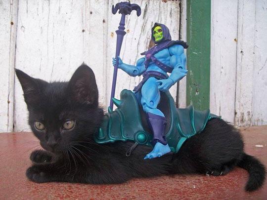 funny-Skeletor-Panthor-cat-HeMan-1.jpg